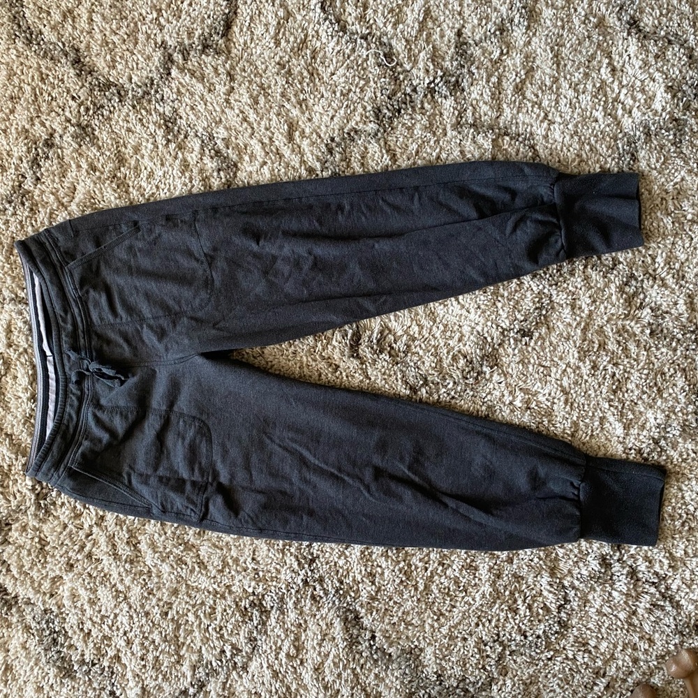 Patagonia Sweat Pants